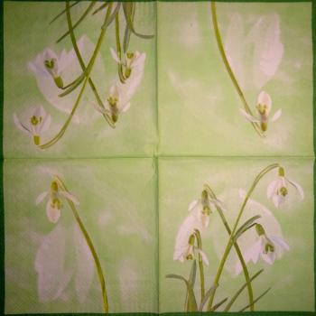 081 Daffodils - 3-ply